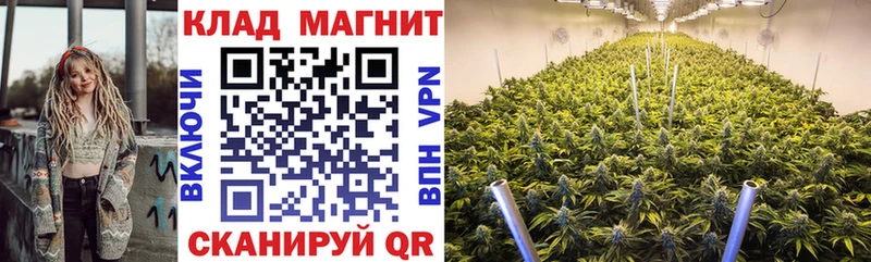 Купить закладку Псилоцибиновые грибы  Конопля  Меф мяу мяу  ГАШИШ  КОКАИН  СК  Набережные Челны