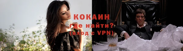 дживик Инта