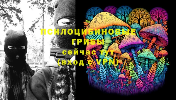 дмт Каменск-Шахтинский