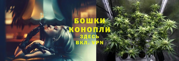 дмт Каменск-Шахтинский