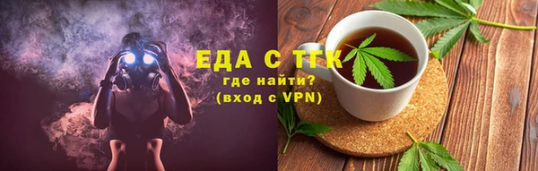 дживик Инта